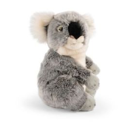 Living Nature Koala