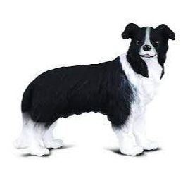 Collecta Border Collie
