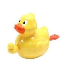 Pull String Bath Buddies Duck