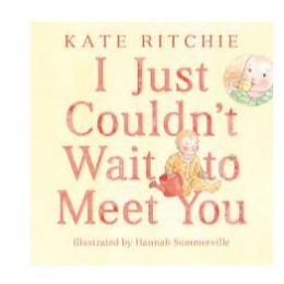 I Just Couldn't Wait To Meet You Board Book