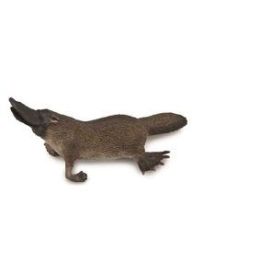 Collecta Platypus