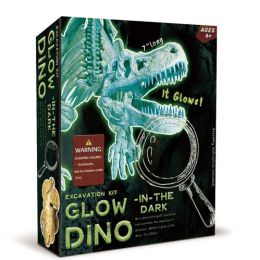 Glow In The Dark Tyrannosaurus Excavation Set