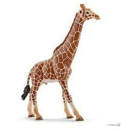 Schleich Giraffe Male