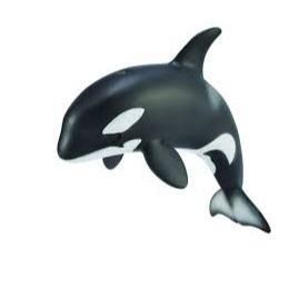 Collecta Orca Calf