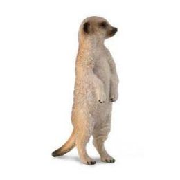 Collecta Meerkat