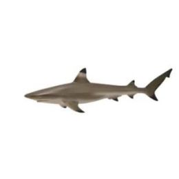 Collecta Blacktip Reef Shark