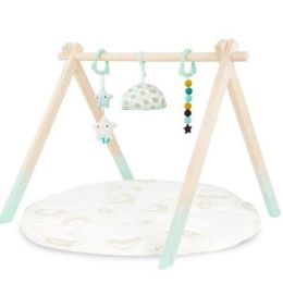 B Dot Baby Starry Sky Gym & Playmat