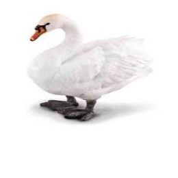 Collecta Mute Swan
