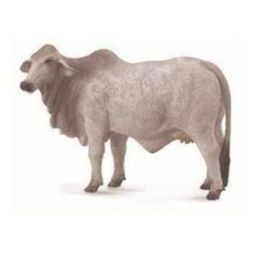 Collecta Brahman Cow Grey