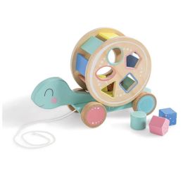 Eureka Kids Walk -A-Long Turtle Shape Sorter