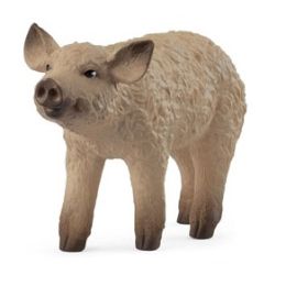 Schleich Mangalica Piglet