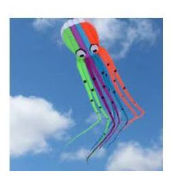 Inflatable Octopus Kite