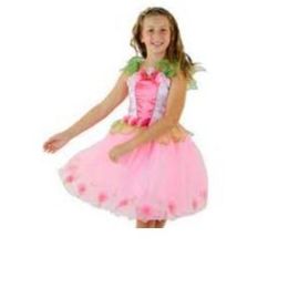 Milly Fairy Dress Light Pink Small (d)