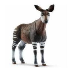 Schleich Okapi New (d)