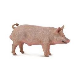 Collecta Pig Boar