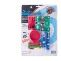 Clip Circuit Noisy Lab (d)