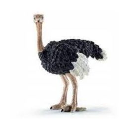 Collecta Ostrich