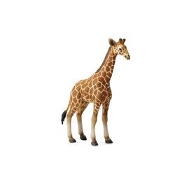 Collecta Reticulate Giraffe Calf