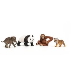 Schleich Wild Life Asia Starter Set