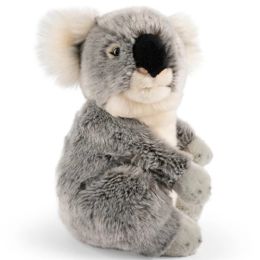 Living Nature Koala