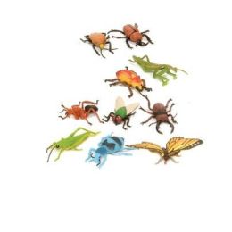 Polybag Insects