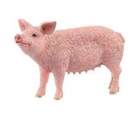 Schleich Pig