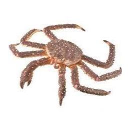 Collecta King Crab
