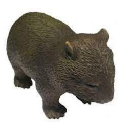 Australian Wombat