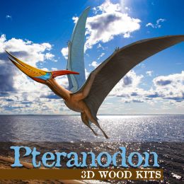 3d Wood Kits Pteranodon (d)