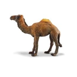Collecta Dromedary Camel