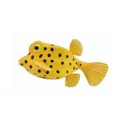 Collecta Boxfish
