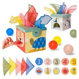 Taf Magic Box