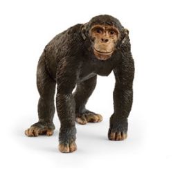Schleich Chimpanzee 2025 Release
