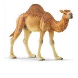 Schleich Dromedary