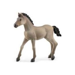 Schleich Criollo Definitivo Foal