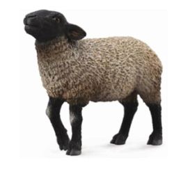 Collecta Suffolk Sheep