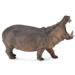 Collecta Hippotamus