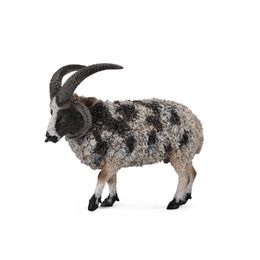 Collecta Jacob Sheep