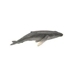 Collecta Humpback Whale Calf