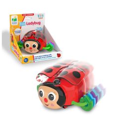 Crawl About Ladybug