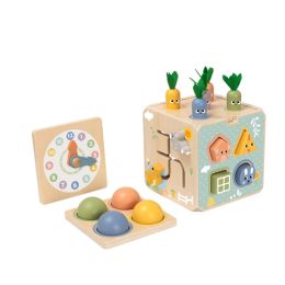 Tooky Toy Activity Cube