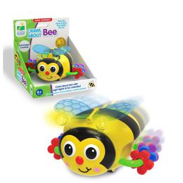Crawl About Bee