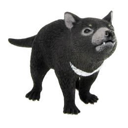 Tasmanian Devil