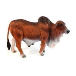 Collecta Brahman Bull Red