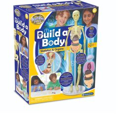 Brainstorm Build a Body