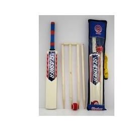 Slasher Cricket Set 600