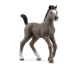 Schleich Selle Francais Foal
