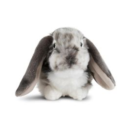 Living Nature Grey Dutch Lop Ear (26cm)