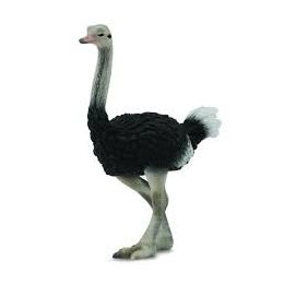 Collecta Ostrich