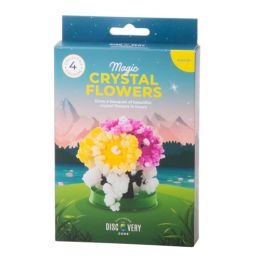 Discovery Zone Magic Crystal Flowers